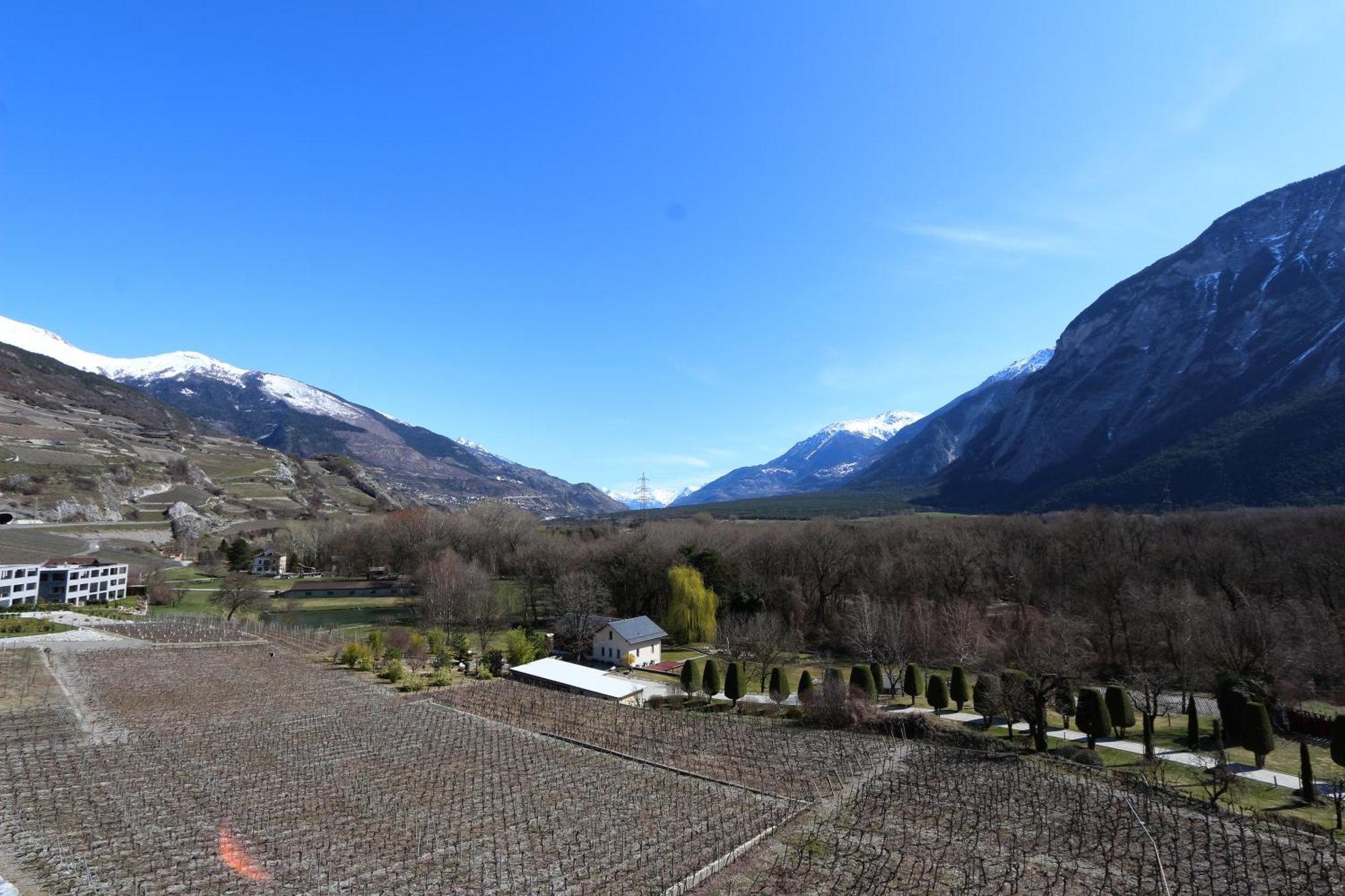 Bnb Vino Veritas Salgesch Extérieur photo
