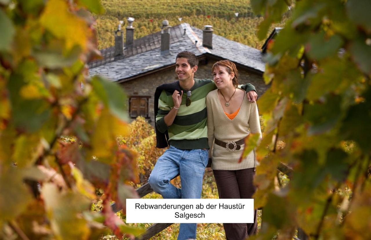 Bnb Vino Veritas Salgesch Extérieur photo
